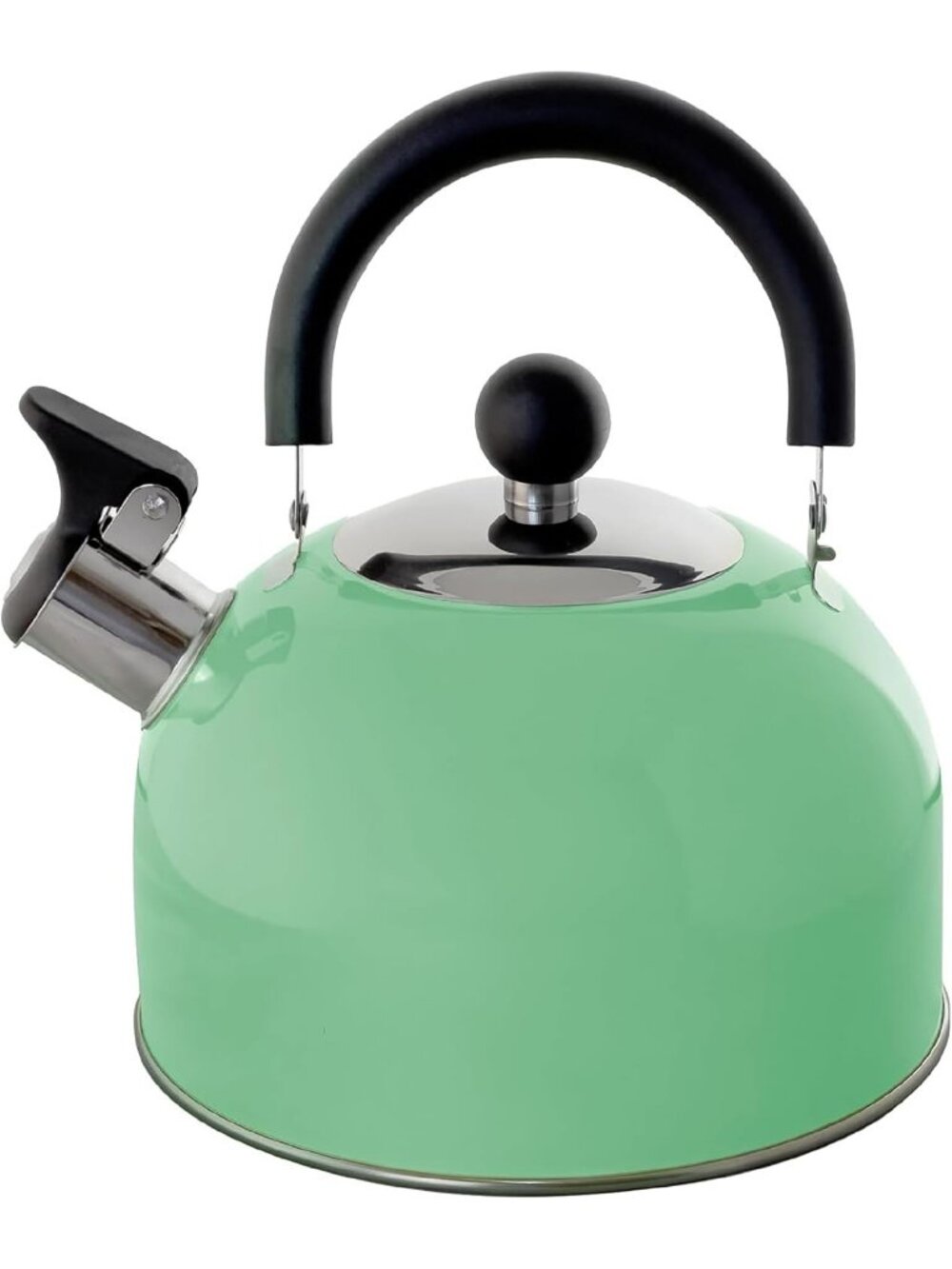 Pastel Green Kitchen Whistling Tea Kettle 2 QT Stainless Steel Stovetop Teapot